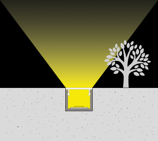 Auenprofile