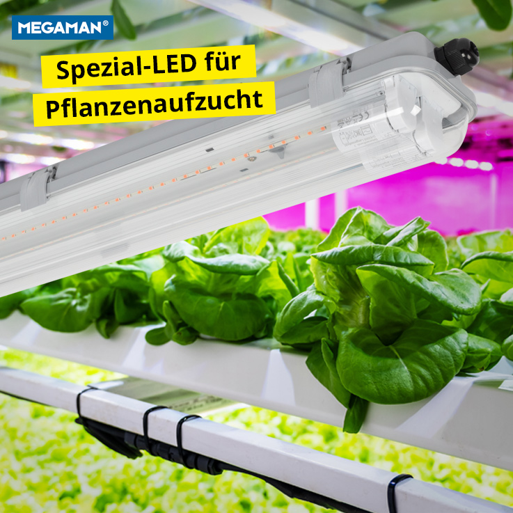 Spezial LED