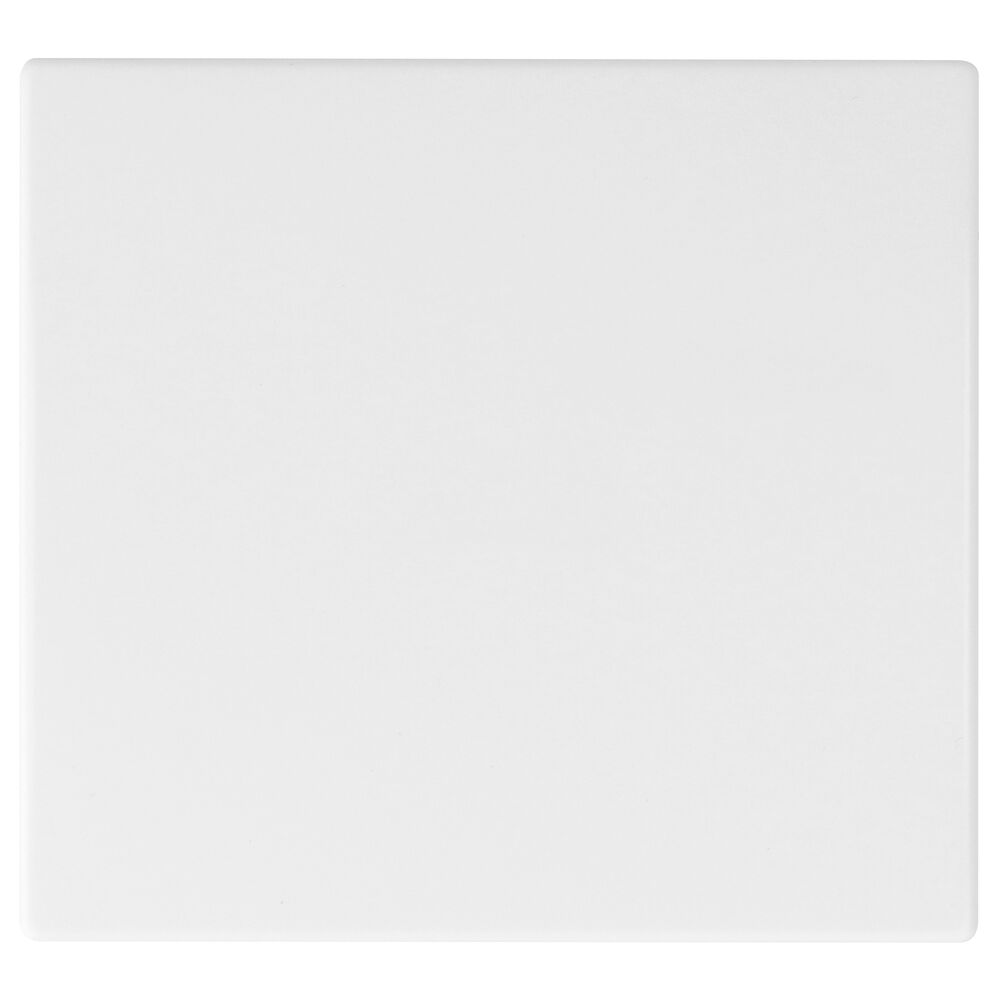 Wippe, f�r Aus/Wechsel/Kreuz/Taster, APOLO 5000, signalwei�