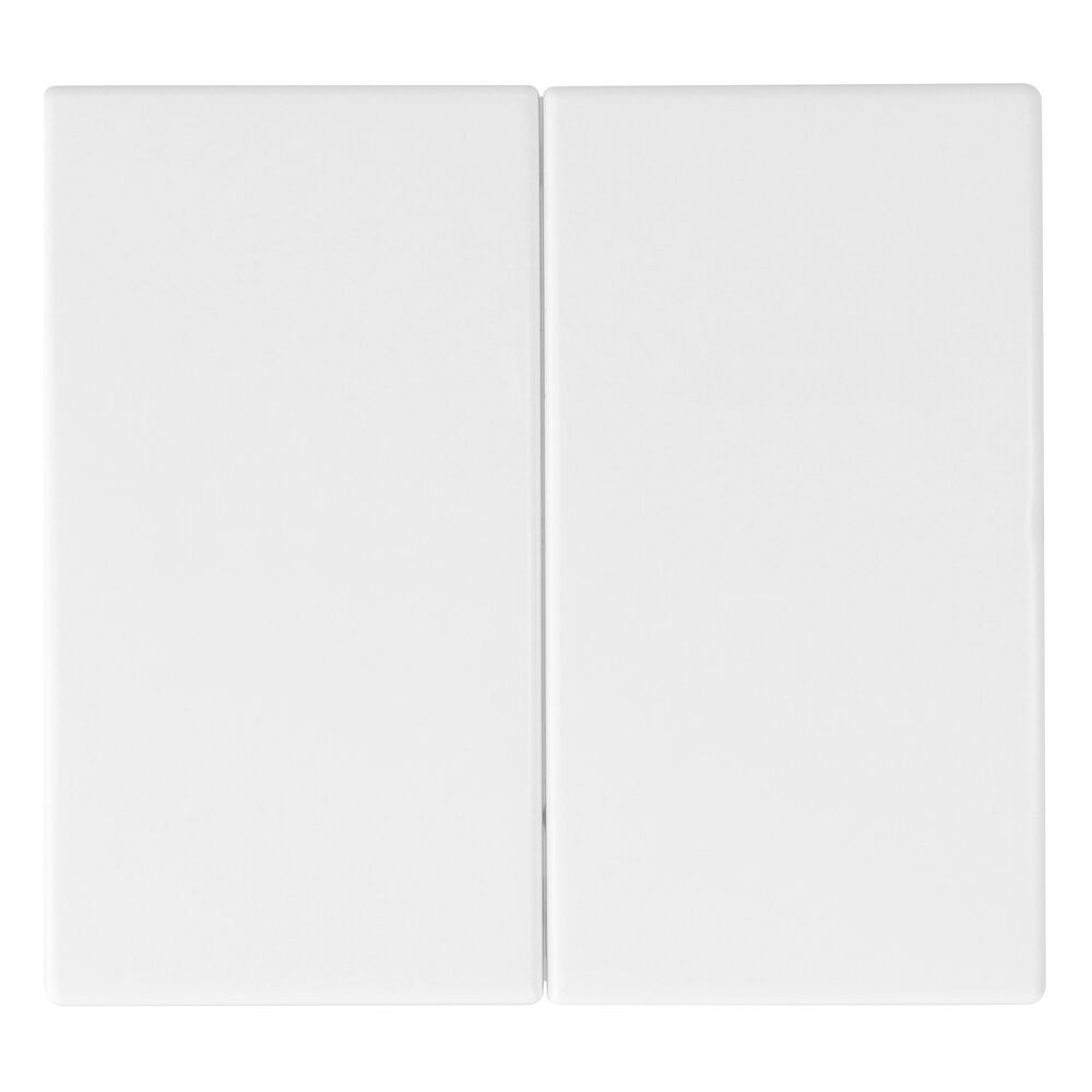 Wippe, f�r Serie, Doppelwechsel, Doppeltaster, APOLO 5000, signalwei�