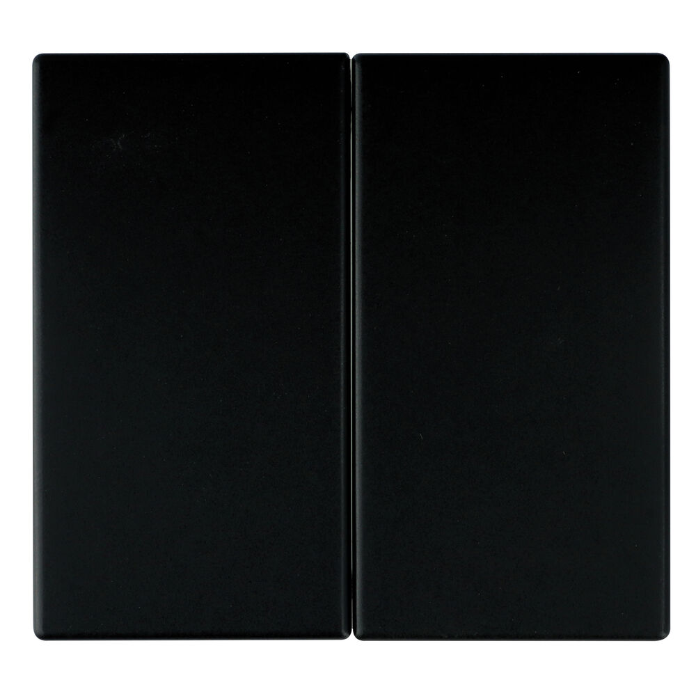 Wippe f�r Serie, Doppelwechsel, Doppeltaster, APOLO 5000, schwarz matt