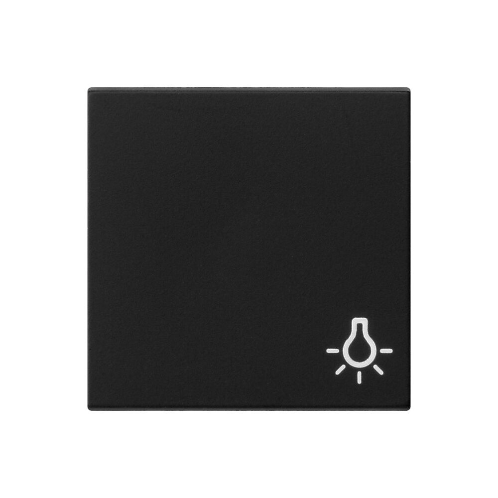 Wippe, fr Symbol, SYSTEM 55, schwarz matt