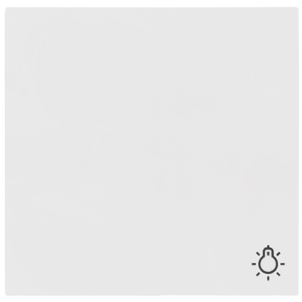 Wippe, mit Symbol, neue Generation, Standard 55, reinwei glnzend