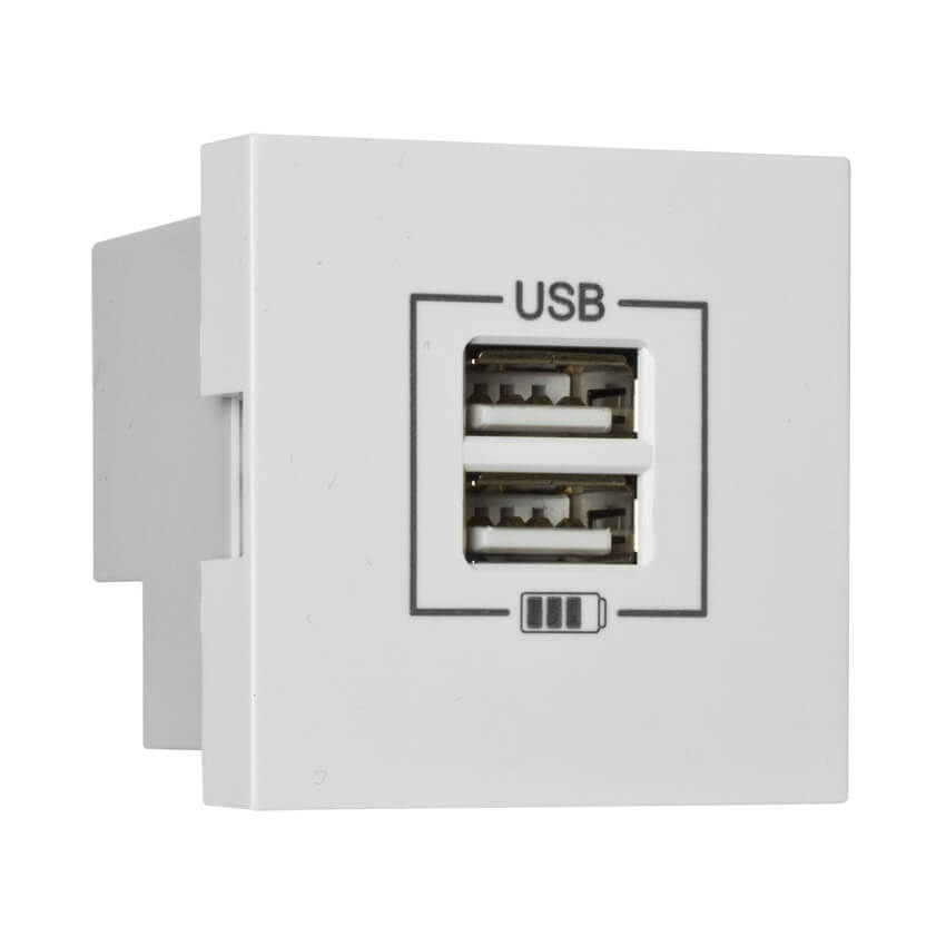 Modul-Einsatz, USB-Ladegert, 2 x USB-Ausgang 5V/2,1A, Modul 45 x 45