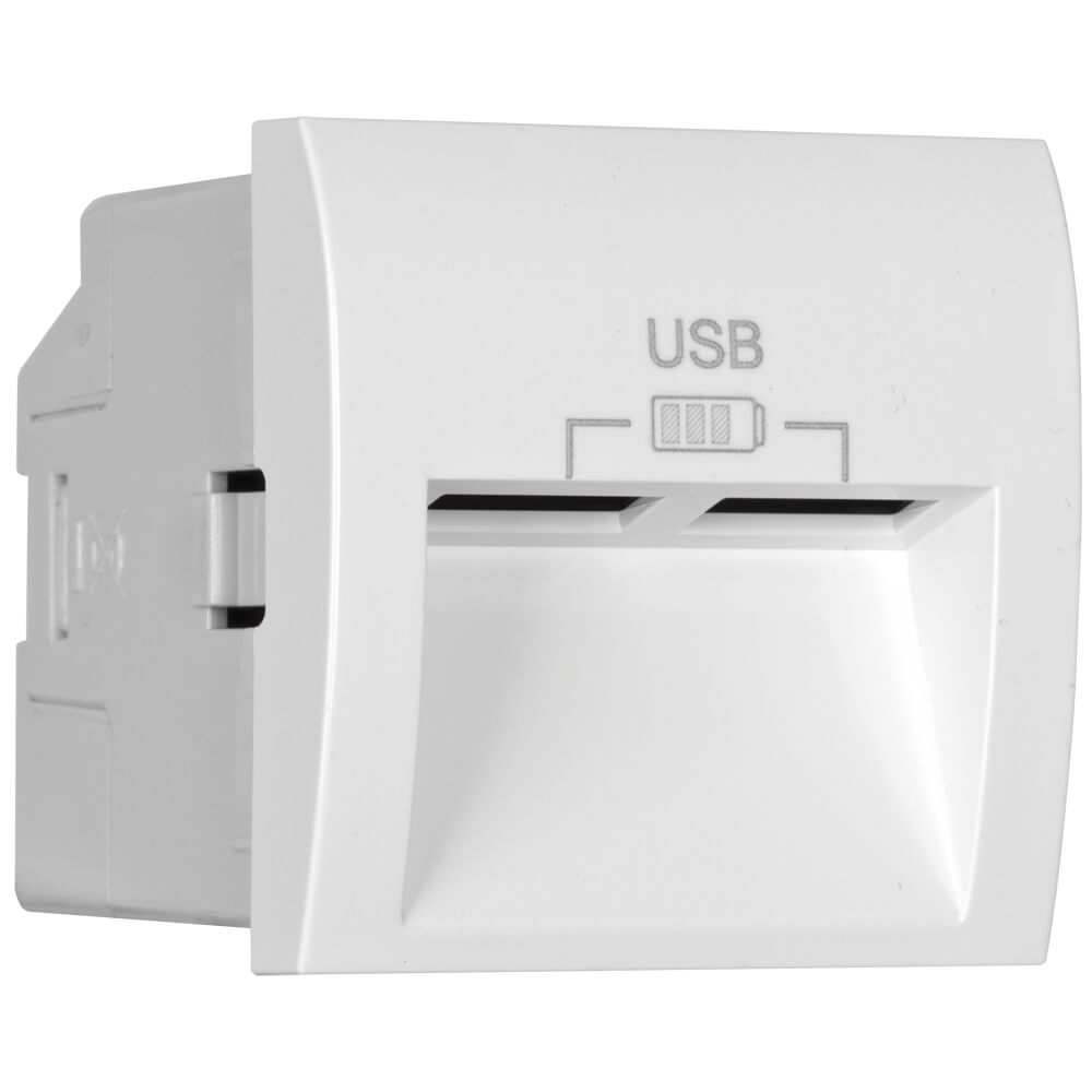 Modul-Einsatz, USB-Ladegert, 2 x USB-Ausgang 5V/2,4A, Abgang 20, Modul 45 x 45
