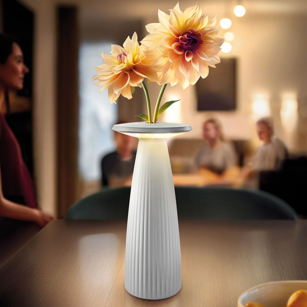 Akku-Tischleuchte, NUFLAIR, LED/2,2W Bild 2