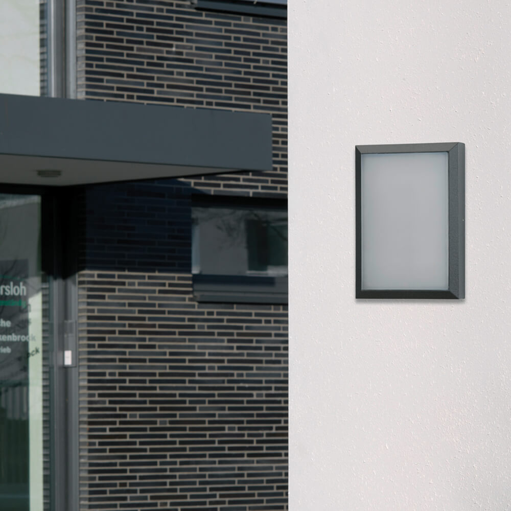 LED-Auen- Wand-/Deckenleuchte,  LED/16W Bild 2