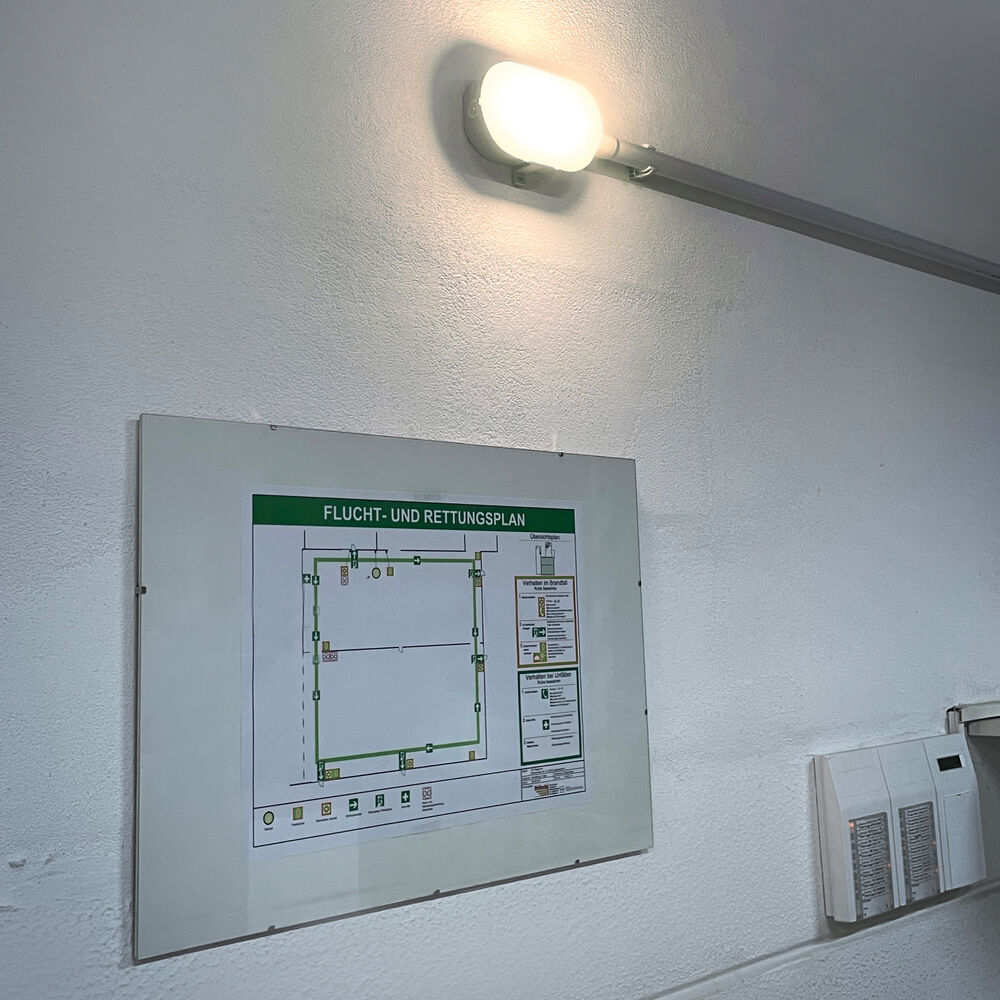 Sensor-Kellerleuchte, ZELLA NEO, LED/8W, 620/800 lm, 3000/4000K, HF-Sensor Bild 3
