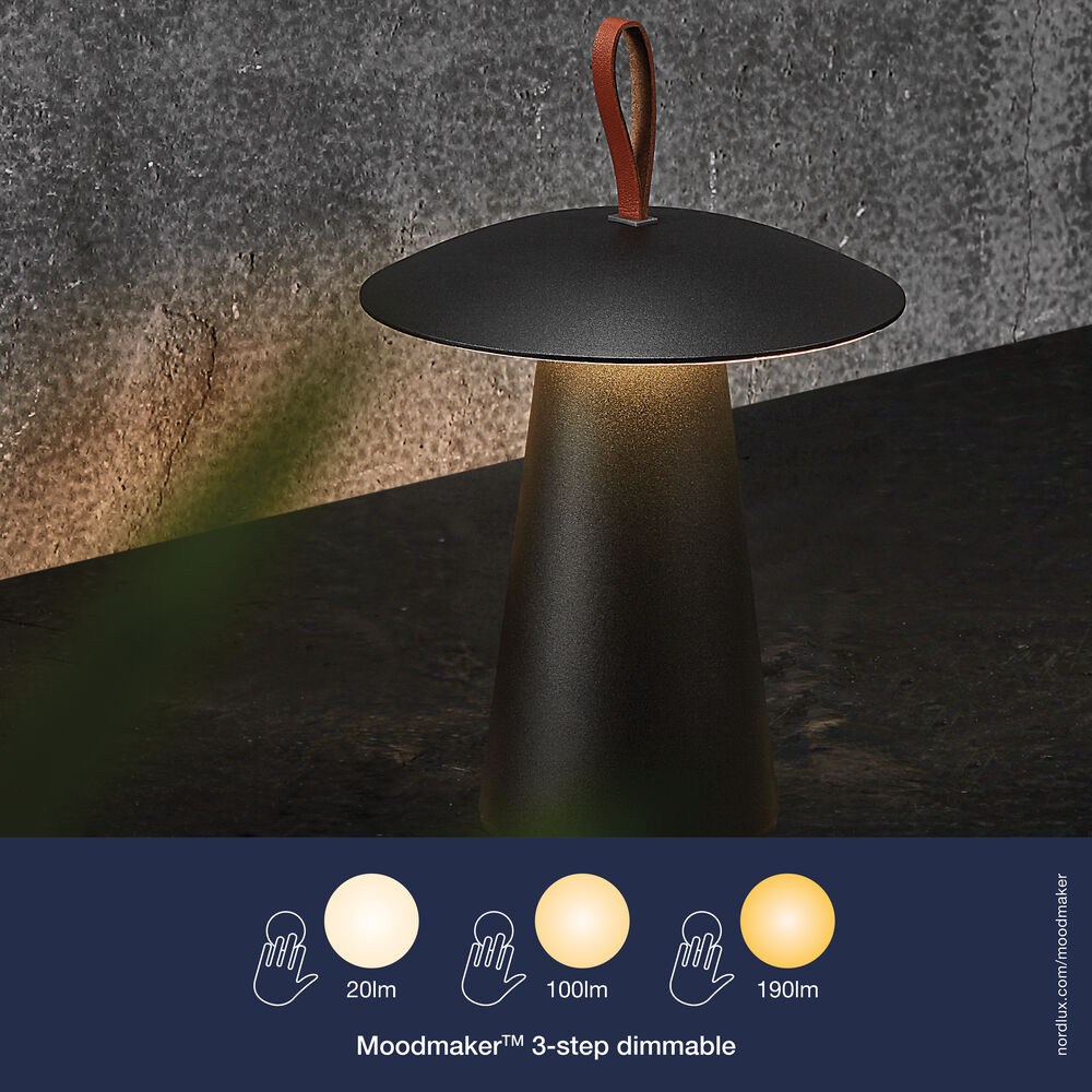 Akku-Tischleuchte, ARA TO GO, LED/2W Bild 3