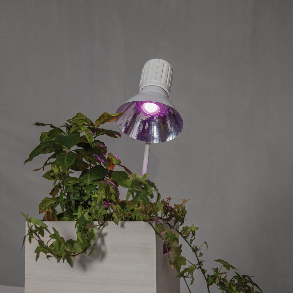 LED-Reflektorlampe, PLANT LIGHT, GU10/3,5W, 42 lm Bild 4