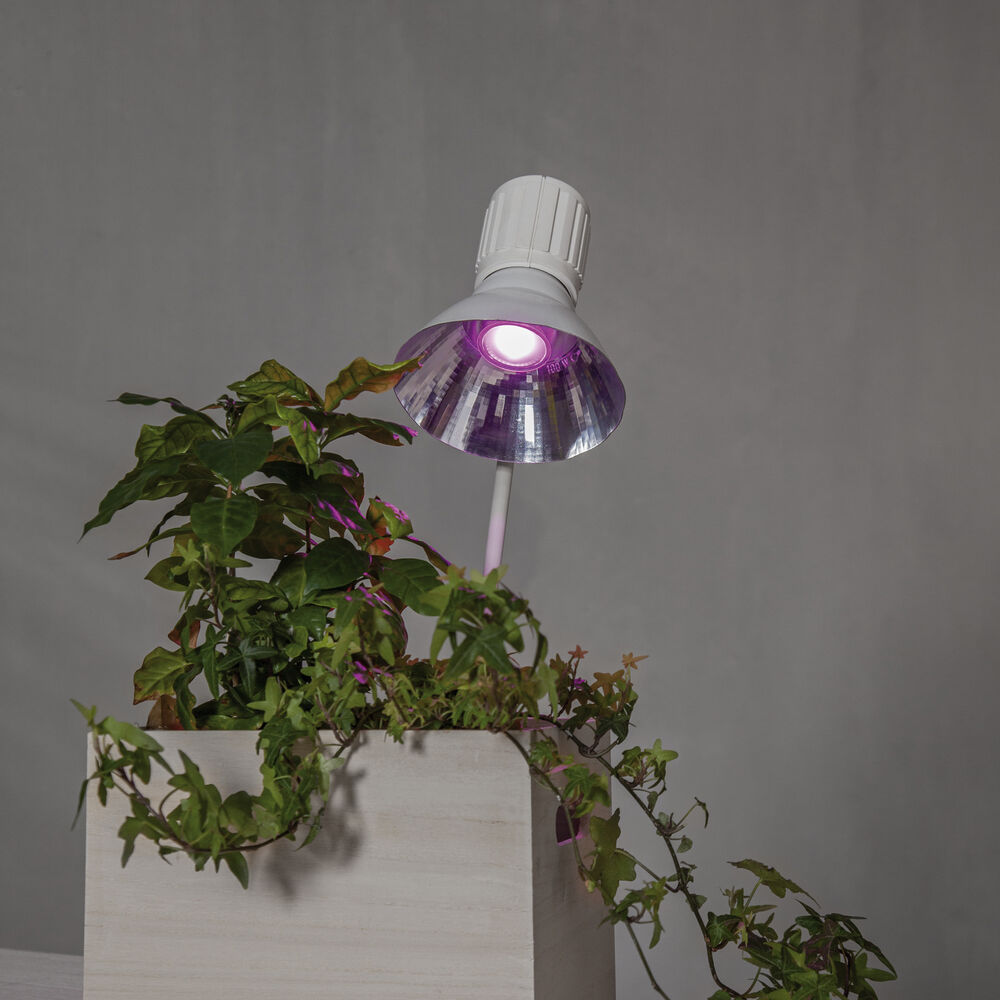 LED-Reflektorlampe, PLANT LIGHT, GU10/3,5W, 42 lm Bild 7