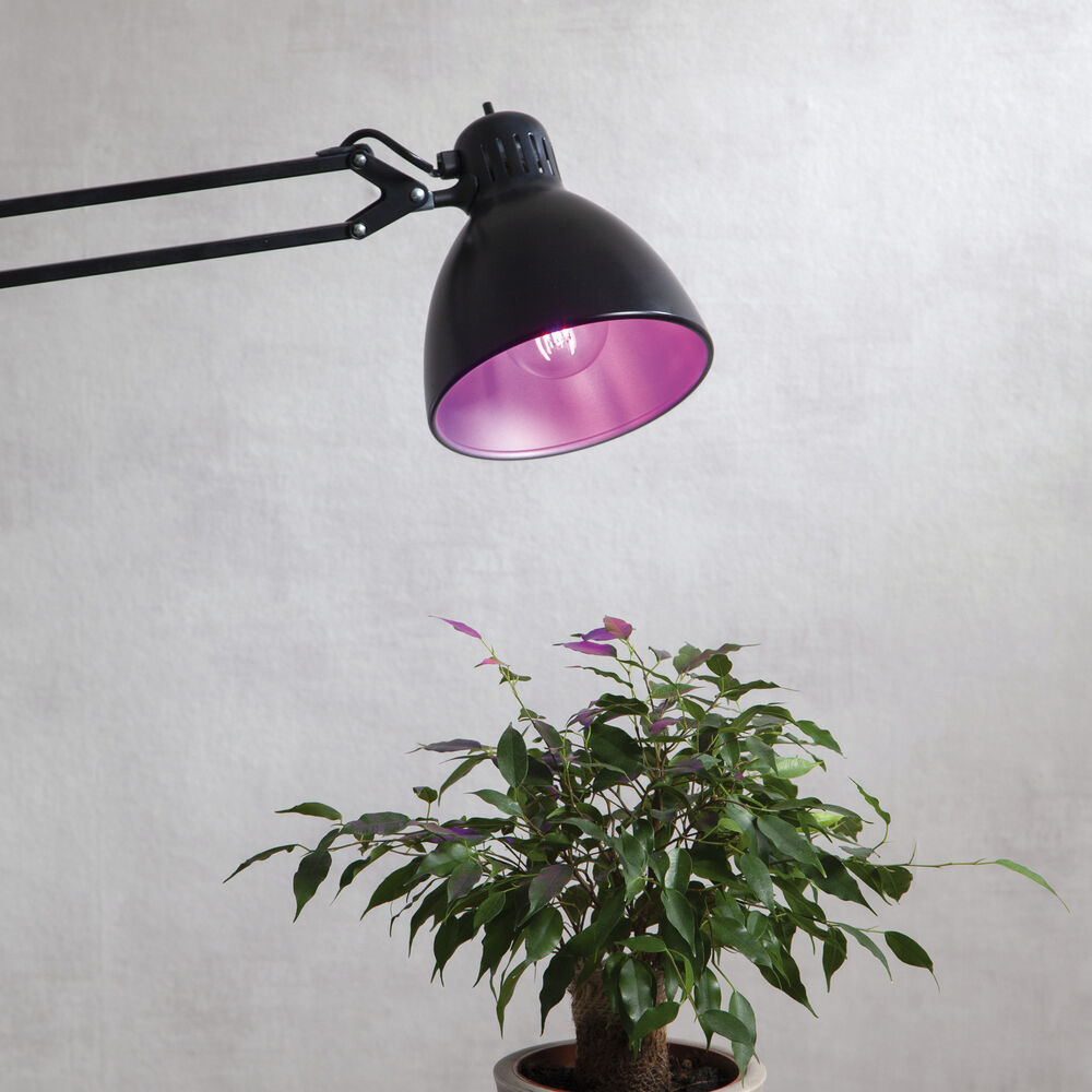 LED-Lampe, PLANT LIGHT, E27/6,5W, 200 lm Bild 2