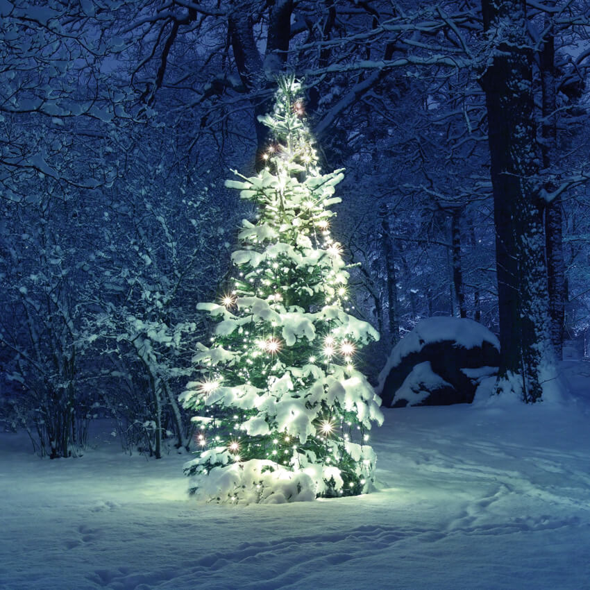 LED-Minilichterkette fr den  Weihnachtsbaum,  je 32 warmweie LEDs Bild 2