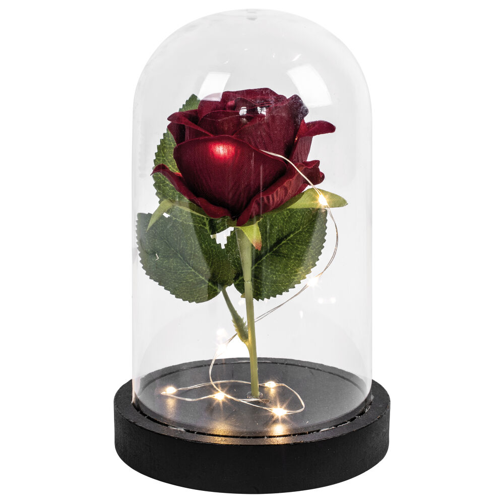 Rose, 10 warmweiße LEDs