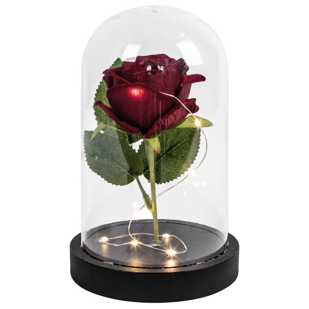 Rose, 10 warmweie LEDs