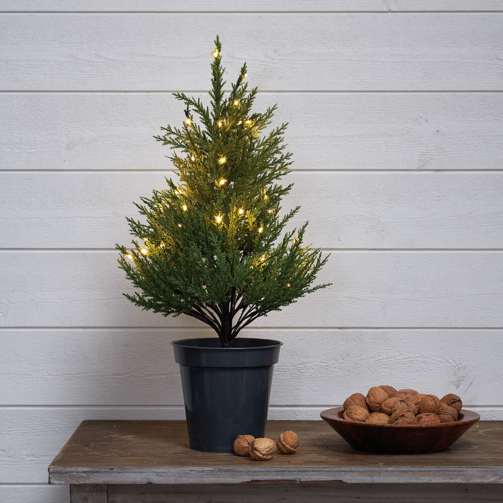 Weihnachtsbumchen, TUJA, 40 warmweie LEDs