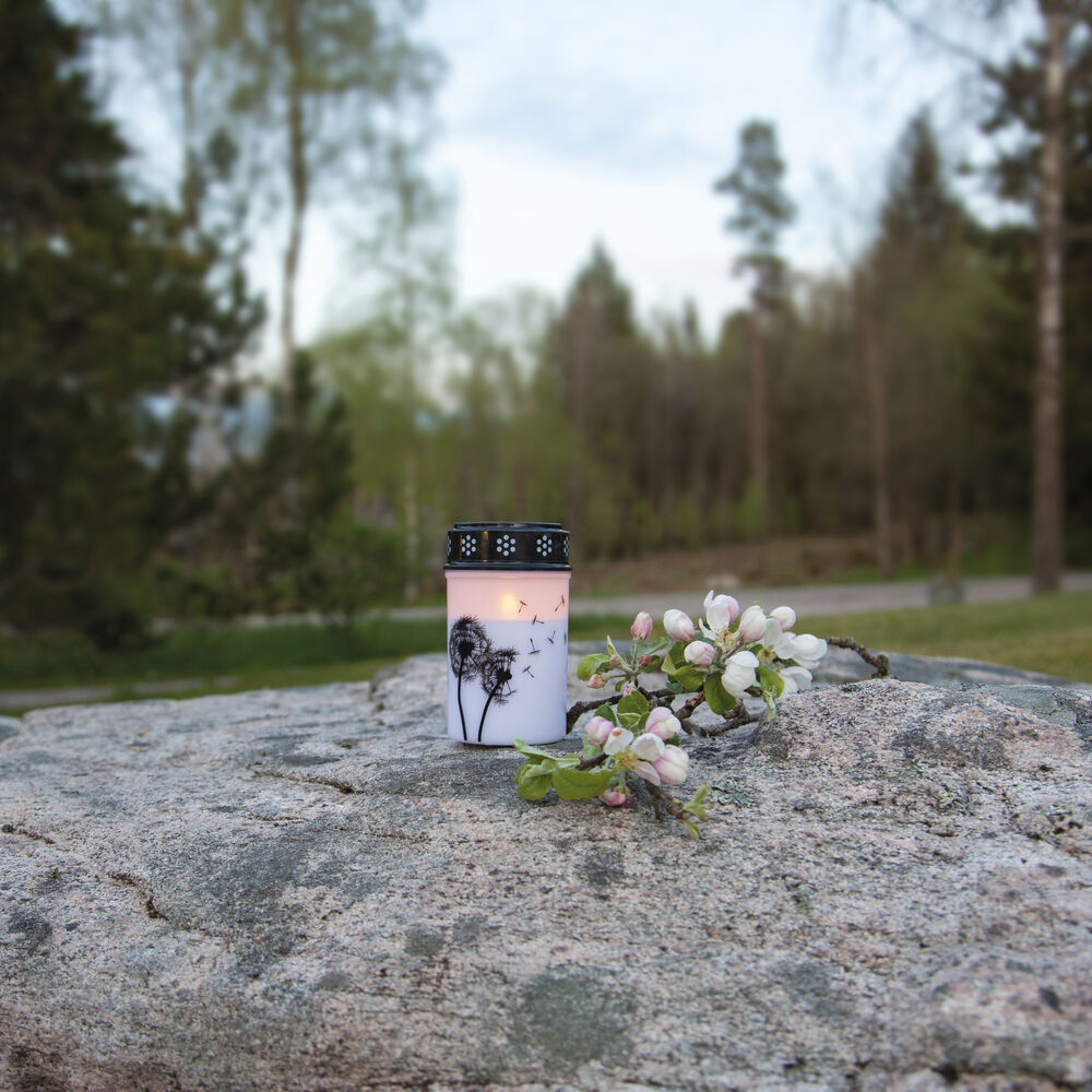 Grablicht, PUSTEBLUME, 1 warmwei�e, flackernde LED Bild 2