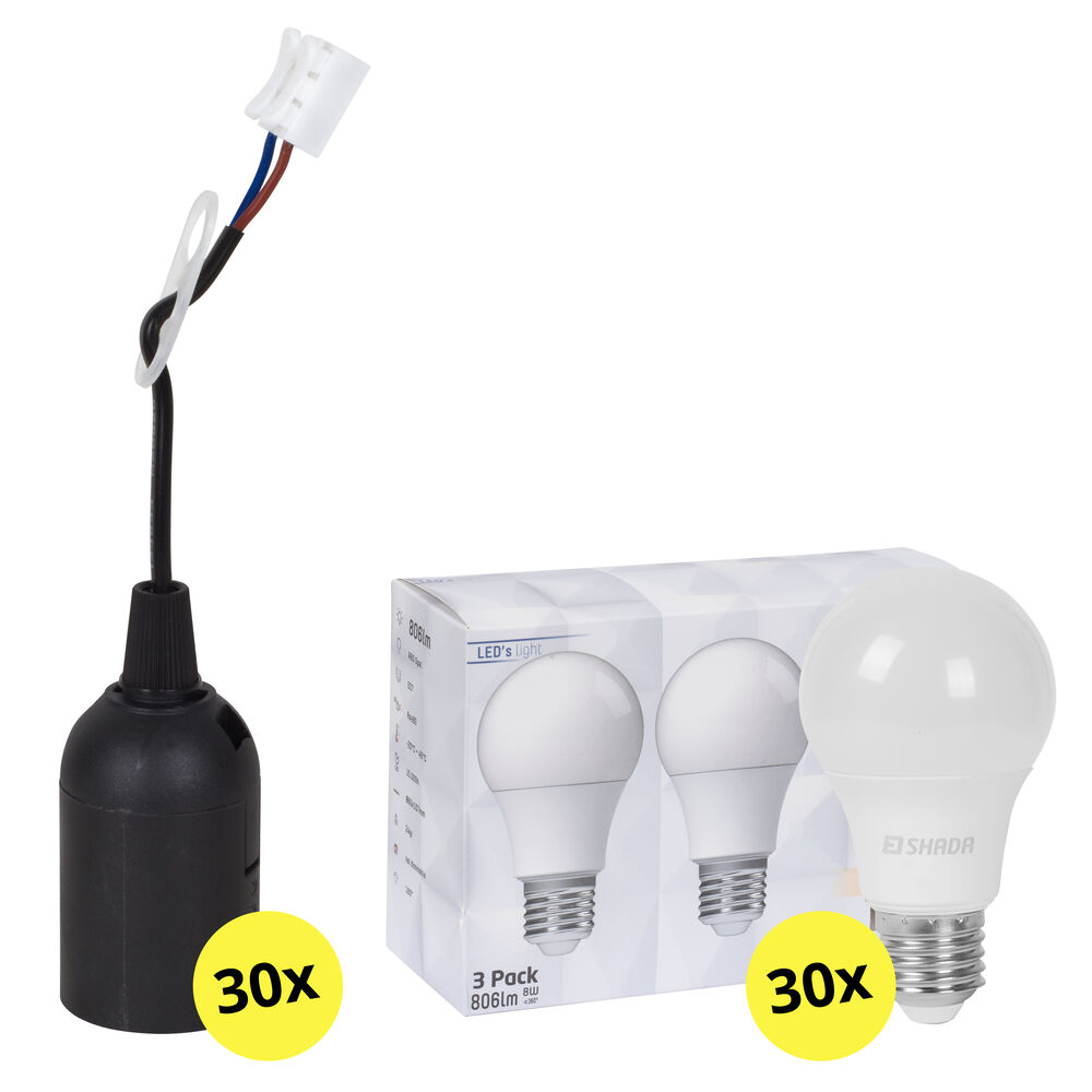 Aktionspaket, 30 x Baustellen-Fassung E27, 30 x LED-Lampe, AGL, E27/8W