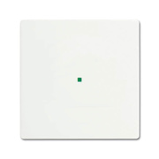 Wippe, 1-fach,<BR>ohne Bedruckung,<BR>studiowei matt