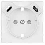 Zentralplatte,<BR>f�r Schutzkontaktsteckdose,<BR>2 x USB-C,<BR>mit Ber�hrungsschutz,<BR>LOGUS 90,<BR>signalwei�