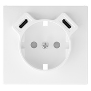 Zentralplatte,<BR>f�r Schutzkontaktsteckdose,<BR>2 x USB-C,<BR>mit Ber�hrungsschutz,<BR>APOLO 5000,<BR>signalwei�