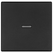 Wippe,<BR>fr Kontroll-Schalter,<BR>K55 BBblack,<BR>schwarz matt