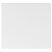 Wippe,<BR>f�r Aus/Wechsel/Kreuz/Taster,<BR>APOLO 5000,<BR>signalwei�