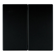 Wippe<BR>f�r Serie, Doppelwechsel,<BR>Doppeltaster,<BR>APOLO 5000,<BR>schwarz matt