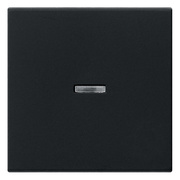 Wippe,<BR>fr Kontroll-Taster,<BR>Standard 55,<BR>schwarz matt