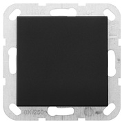 Kombi-Blindabdeckung,<BR>Standard 55,<BR>schwarz matt