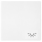 Wippe mit Symbol,<BR>fr Taster,<BR>SERIE A 550,<BR>alpinwei glnzend