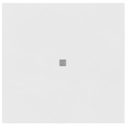 Wippe,<BR>fr Kontroll-Taster,<BR>neue Generation,<BR>Standard 55,<BR>reinwei glnzend