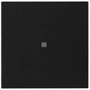 Wippe,<BR>fr Kontroll-Taster,<BR>neue Generation,<BR>Standard  55,<BR>schwarz matt