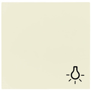 Wippe fr Taster,<BR>mit Symbol Licht,<BR>SYSTEM 55,<BR>cremewei glnzend