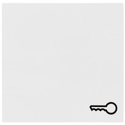 Wippe,<BR>mit Tr Symbol,<BR>alte Generation,<BR>Standard 55,<BR>reinwei glnzend