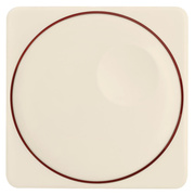 Abdeckung fr <BR>Dreh-/Druck-Dimmer, <BR>beleuchtbar,<BR>50 x 50 mm,<BR>wei