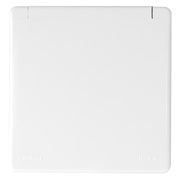 Abdeckplatte,<BR>mit Klappdeckel,<BR>APOLO 5000,<BR>signalwei�