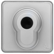 UP/FR-Kombi-<BR>Schlssel-Tastereinsatz,<BR>SOLIROC,<BR>grau