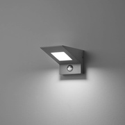 LED-Auenwandleuchte