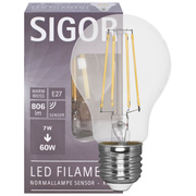 LED-Filament-Lampe, 