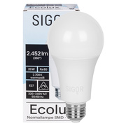 LED-Lampe,<BR>ECOLUX,<BR>AGL-Form<BR>E27/20W (150W), 2.452 lm,<BR>2700K