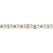 LED-Flexstreifen,<BR>STRIP 1000 E, ESSENCE,<BR>5050-SMD-LEDs/24V/96W,<BR>L 5 m, 300 LEDs,<BR>960 lm/m