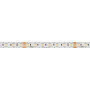 LED-Flexstreifen, RGB/W,<BR>STRIP 500 S RGB/W,<BR>5050-SMD-LEDs/24V/60W,<BR>L 5 m, 350 LEDs,<BR>700 lm/m