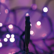 LED-Minilichterkette,<BR>40 purpurfarbene LEDs
