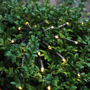 LED-Lichternetz fr<BR>Buchsbaumkugeln,<BR>warmweie LEDs