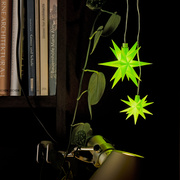 Weihnachtsstern, 1 w