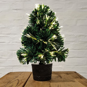 Bumchen,<BR>LEDs