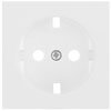 Kombi-Steckdosenplatte, KLEIN�-K55, reinwei�