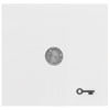 Wippe mit Symbol, f�r Taster, OBJEKT HK 07 reinwei� (RAL 9010)