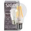 LED-Filament-Lampe,  AGL-Form, klar,  E27, 2700K